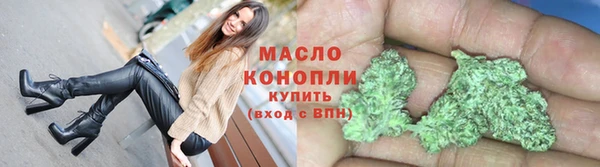 амф Верхний Тагил