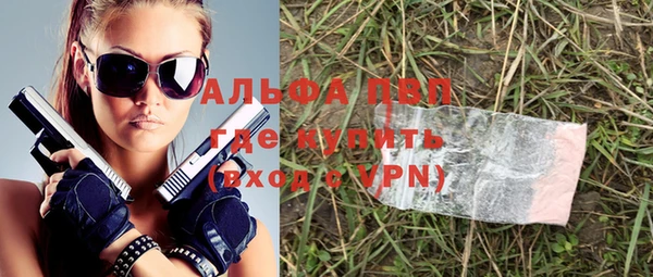 амф Верхний Тагил
