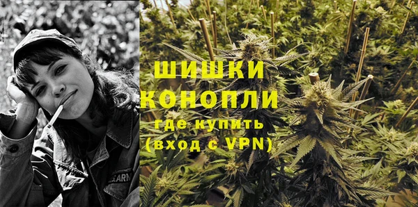 амф Верхний Тагил