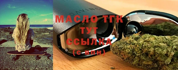 амф Верхний Тагил