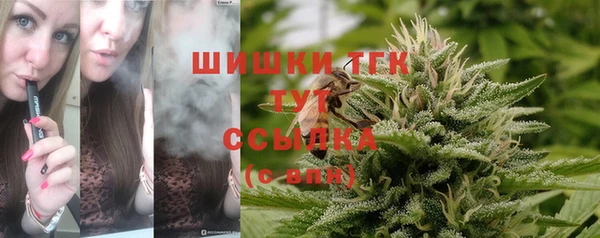 амф Верхний Тагил