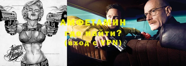 амф Верхний Тагил