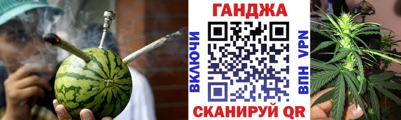 кракен ТОР  Новосибирск  Конопля сатива  купить  